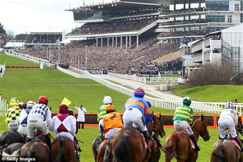 cheltenham first race